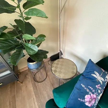 15 Min To Interlaken Seeblick Lägenhet