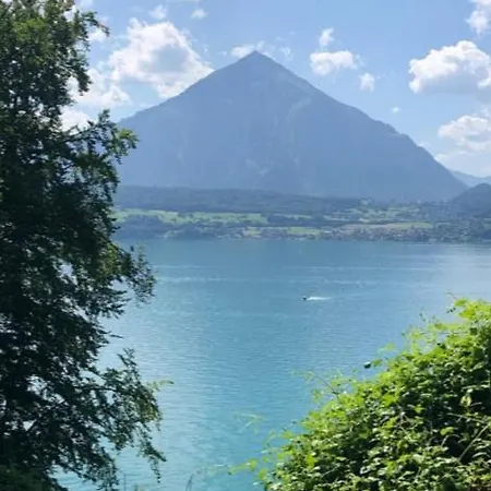 15 Min To Interlaken Seeblick Merligen