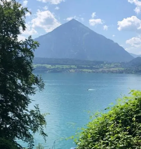 15 Min To Interlaken Seeblick 梅尔里根