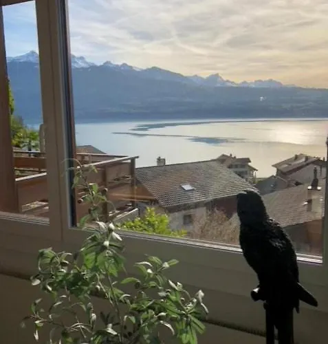 15 Min To Interlaken Seeblick 公寓 梅尔里根